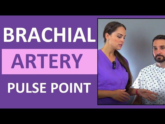 Brachial Artery Pulse Point Location Nursing Skill