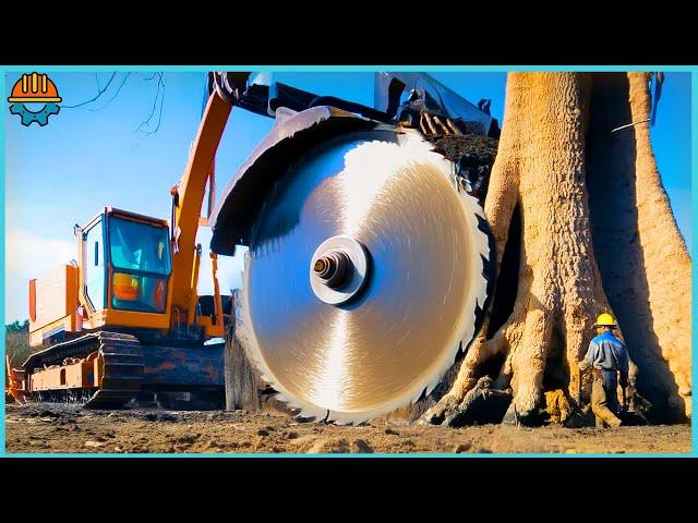 505 Amazing Dangerous Skills Fastest Chainsaw Machines Big Tree Felling At Another Level