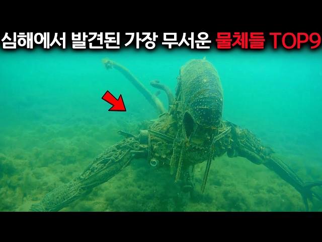 심해 7000m에서 발견된 이것, 99.9%의 사람들이 본 적 없는 무서운 물체들입니다.