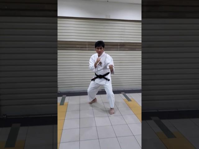 TENCHIKEN 1 天地拳第一糸 Shorinji Kempo 少林寺拳法 INDONESIA