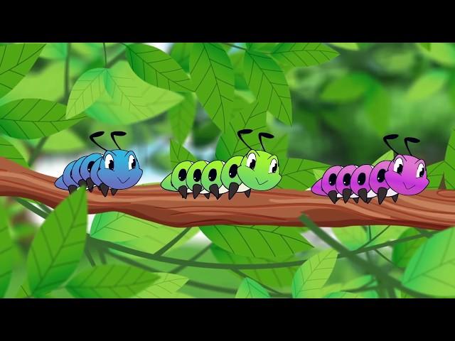 เพลง หนอนผีเสื้อ ต้วมๆเตี้ยมๆออกมาจากไข่ | Worm Song