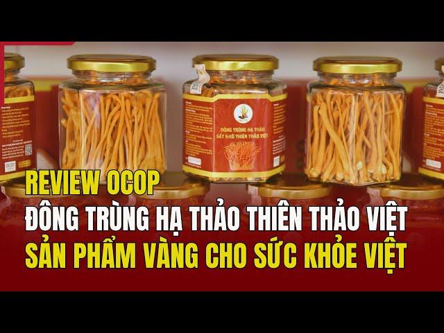 [REVIEW OCOP] Đông trùng hạ thảo Thiên Thảo Việt: Sản phẩm vàng cho sức khỏe Việt | Báo Thanh Hóa