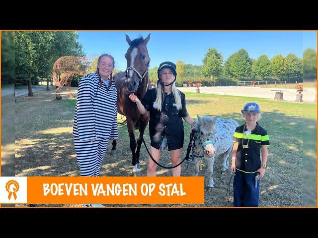 Eve omtoveren tot politiepaard! | PaardenpraatTV