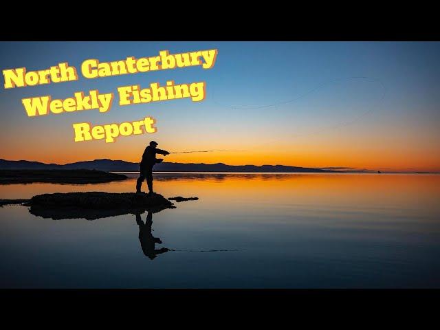 North Canterbury Weekly Fishing Report - 17th October 2024