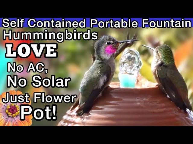 Hummingbird FOUNTAIN Upcycle Attracts Tons of Hummingbirds *NO Sun Solar AC Needed PORTABLE Birdbath