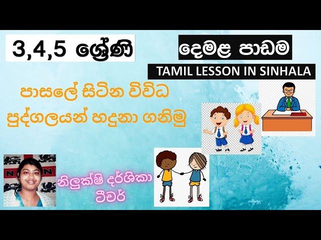 #Grade 4 Tamil 1st lesson for grade 5 Scholarship Exam 4 ශ්‍රේණිය දෙවන ජාතික භාෂාව දෙමළ