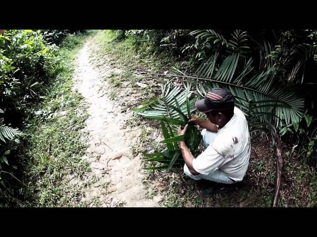 How to Make a Backpack out of Palm Leaves