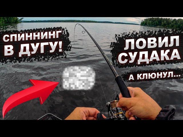 СПИННИНГ В ДУГУ!!! Ловил судака, а клюнул он