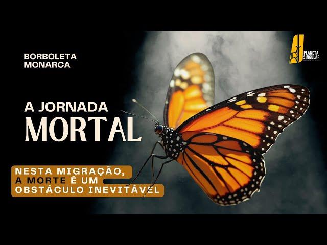 Borboleta Monarca: Uma Odisseia de 5000 km | Documentário HD Sobre a Maior Migração de Insetos