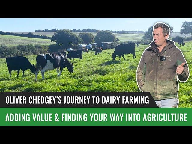 Oliver Chedgey’s Journey to Dairy Farming: Adding Value & Finding Your Way into Agriculture