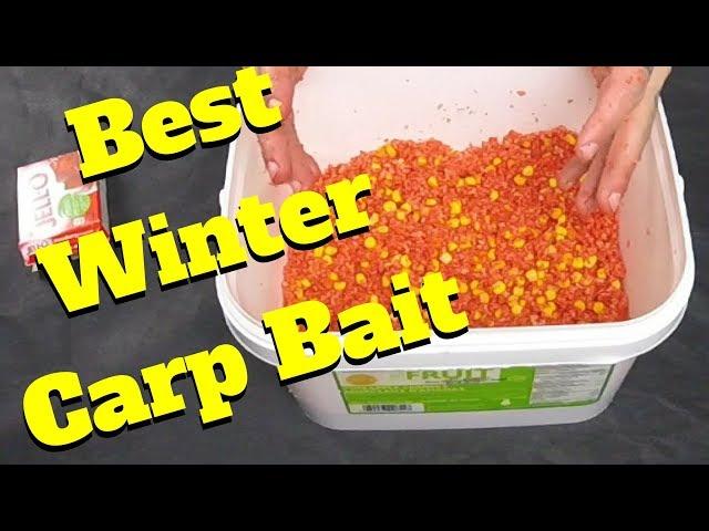 Best Carp bait for Winter