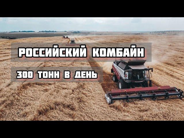 РОССИЙСКИЙ КОМБАЙН ТОРУМ 785. ПОЧТИ 300 ТОНН В ДЕНЬ