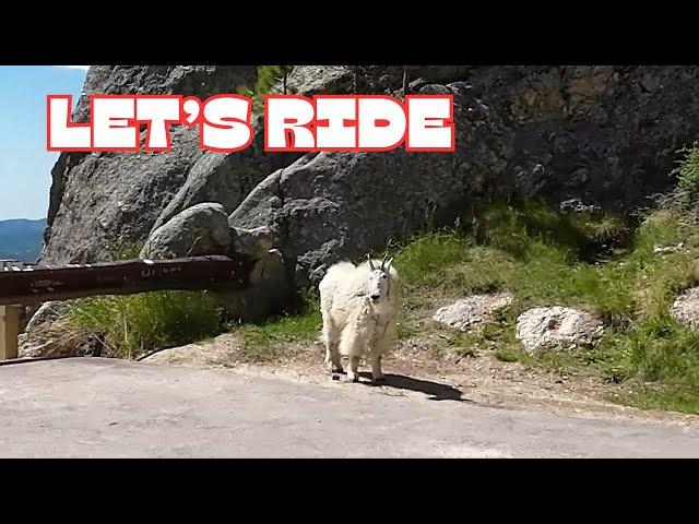 Best Riding in the Black Hills/Sturgis Rally