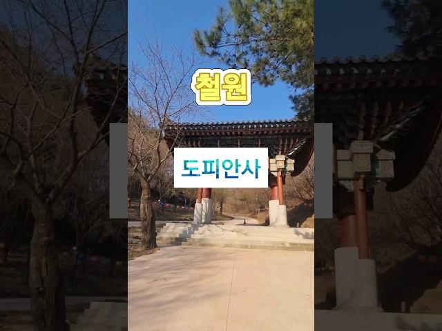 #도피안사 #사찰 #철원여행 #여행지추천  #철원가볼만한곳