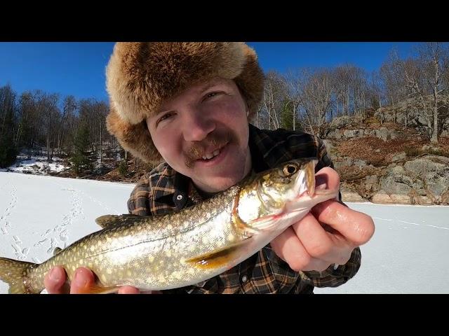 Ice Fishing CATCH AND COOK on a Mountain for LAKE TROUT