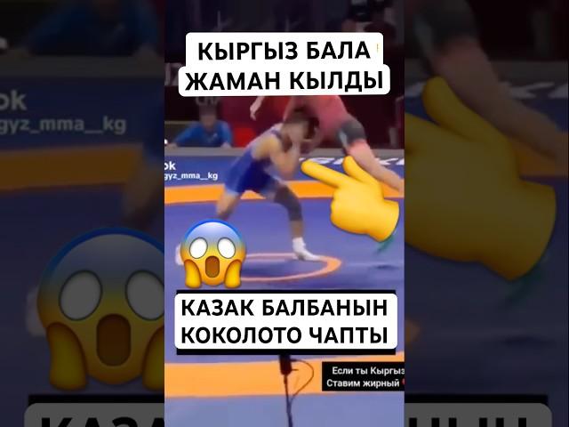 КЫРГЫЗСЫНБЫ БАС️ #тикток #моялошадь #юмор #лошадки #дуэт #арабскиелошади #прикол #топ