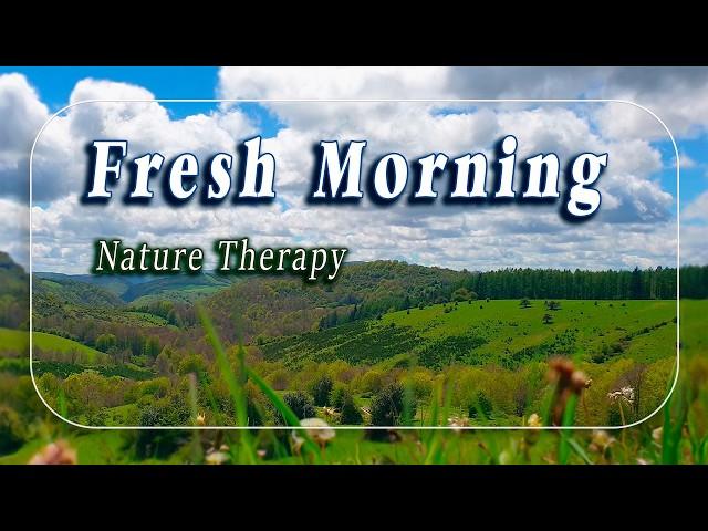 Healing Frequency Fresh Morning️˚.Nature Therapy Peaceful Meditative Meadow for Positive Energy