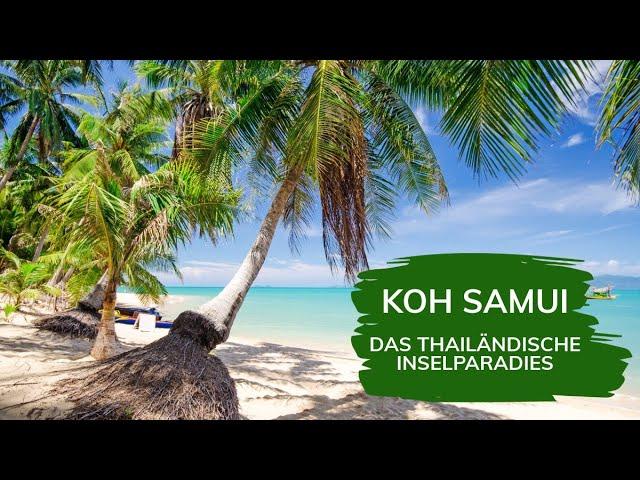 Warum du deinen nächsten Urlaub auf Koh Samui verbringen solltest! 🫶