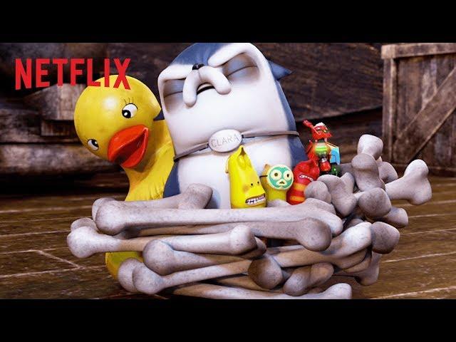 Escape from a Pirate Ship ️ | Larva Island | Netflix After School