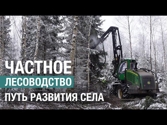 Почему частное лесоводство на сельхозземлях необходимо для развития сельских территорий