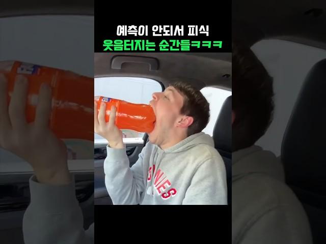 예측이 안되서 피식 웃음터지는 순간들ㅋㅋㅋ