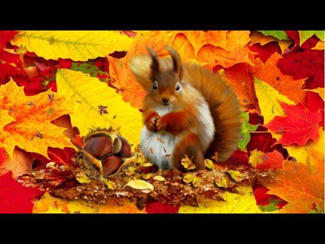 Осень в золотой косынке - детская песня и мультик