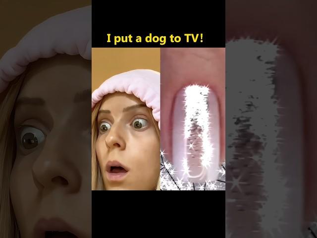 I put a dog to TV! #funny #funnyvideo #foryou #mystorytime #vlog #storytimevlog #storytime #fyp