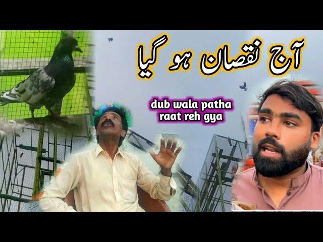 Umar Khokhar Pigeon Club New Update ||  Pola G Pigeons Club || Kabutar Bazi