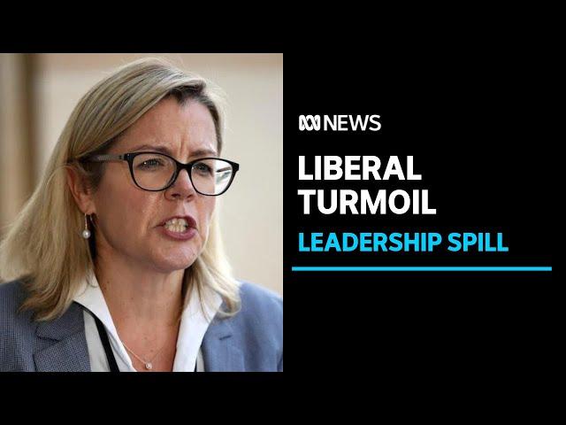 WA Liberal leadership turmoil as party's only two Lower House MPs battle for top job | ABC News