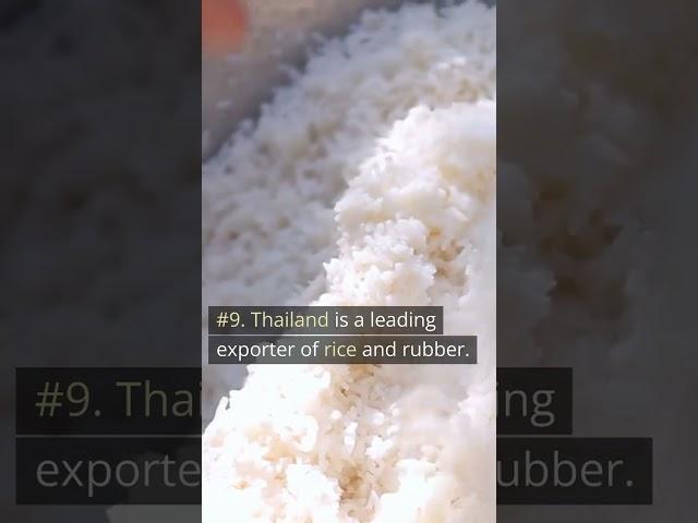 Quick Facts About Thailand!!