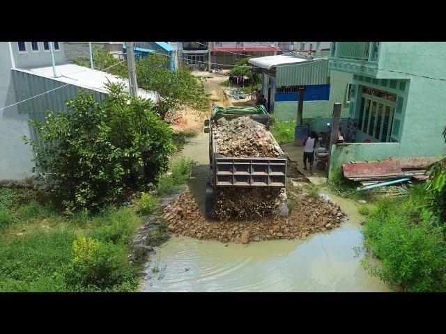 New Project!Filling Land in Area Flood Using Bulldozer D20p KoMat’su with 5Tdump truck Pushing Stone