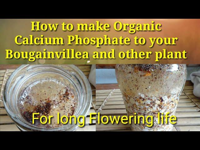 HOW TO MAKE ORGANIC CALCIUM PHOSPATE