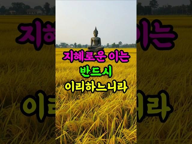 지혜로운 사람은 반드시 이렇게 하느니라 #부처님말씀 #지혜 #삶의지혜 #불교명언 #인생조언