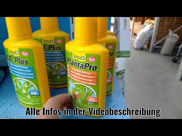 Bester Dünger für Wasserpflanzen Tetra PlantaPro wöchentlicher flüssiger Volldünger Aquarium Dünger