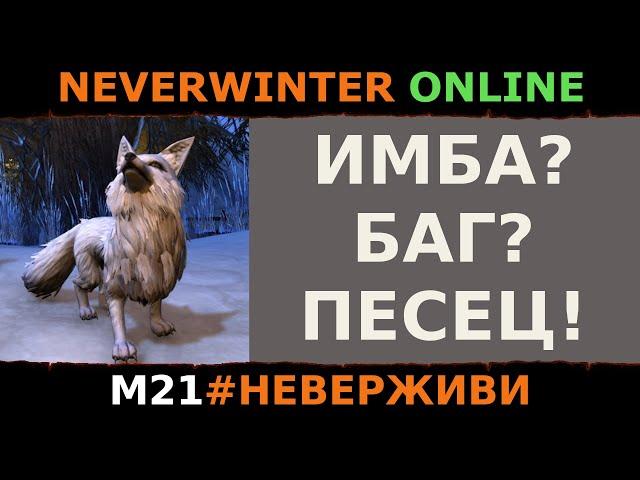 ЗИМНЯЯ ЛИСА - ИМБА? (криптики смогли) | Neverwinter м21 увлекательный геймплей #неверживи