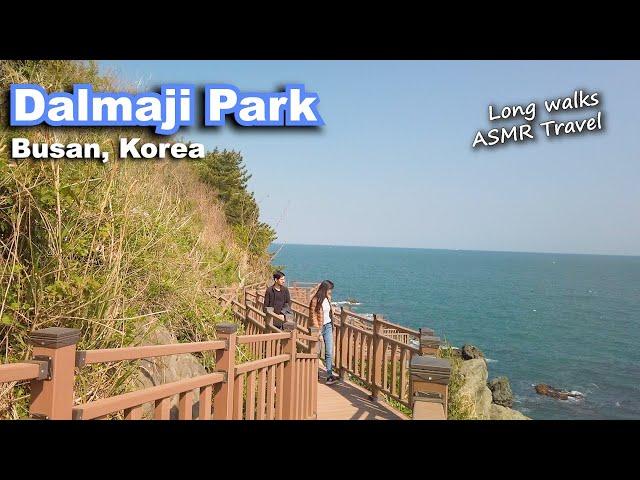 Long walks at Dalmaji Park @ Busan, Korea️ Explore Korea Trip Travel Vlog, Day 8