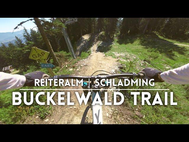 Buckelwald Trail | REITERALM Trails bei Schladming 2023