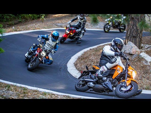 Mini Moto Madness: Honda Grom vs Kawasaki Z125 Pro vs Honda Monkey | On Two Wheels