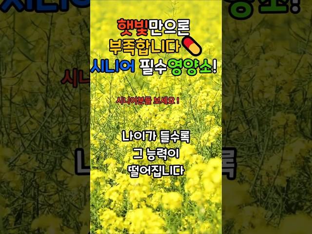  비타민 D, 햇볕만 쬐면 충분할까요?  시니어라면 꼭 확인하세요! #비타민D결핍 #햇볕과비타민D #시니어영양관리 #9988건강상식 #노년기영양소