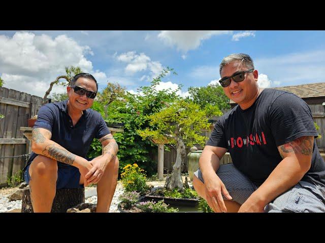 The Bonsai Connection and a Florida Bonsai Garden visit with Bang