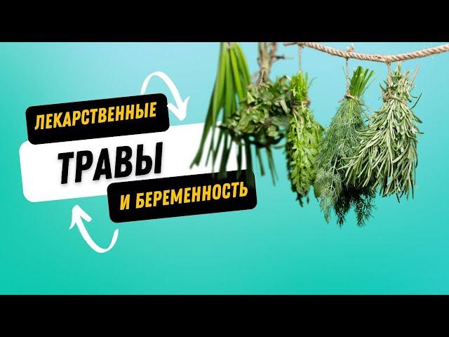 ЛЕКАРСТВЕННЫЕ РАСТЕНИЯ ПРИ БЕРЕМЕННОСТИ @DrOlenaB #doctorberezovska #olenaberezovska #беременность