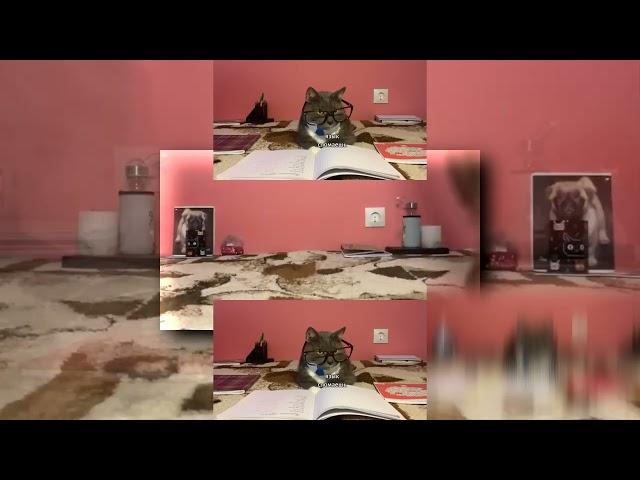 (YTPMV)ЕСЛИ БЫ КОТИКИ ХОДИЛИ В ШКОЛУ - ВСТРЕЧА В БУФЕТЕ, НОВЕНЬКАЯ, И УРОК НЕМЕЦКОГО Scan