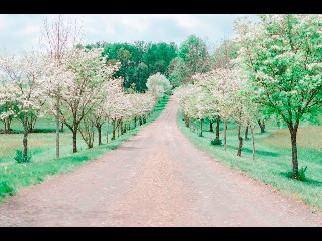 Personalized Weddings at Storybrook Farm