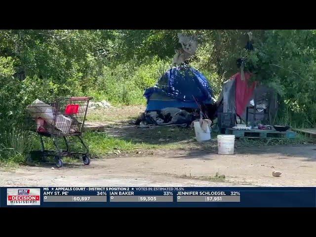 Downtown Biloxi businesses’ homeless complaints overshadow tree removal hearing