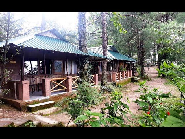 Resort In Shoghi | Resort In Shimla | Resort In Himachal Pradesh