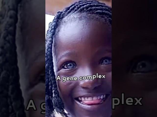 Black People - Blue Eyes 
