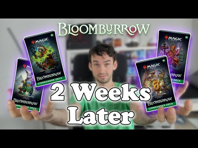 (Commander) Single Prices 2 Weeks After Bloomburrow Release. Still Worth To Buy?