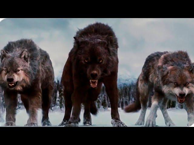 Born Among Wolves | Action Movie Full Length English |  | Full Action Movies HD