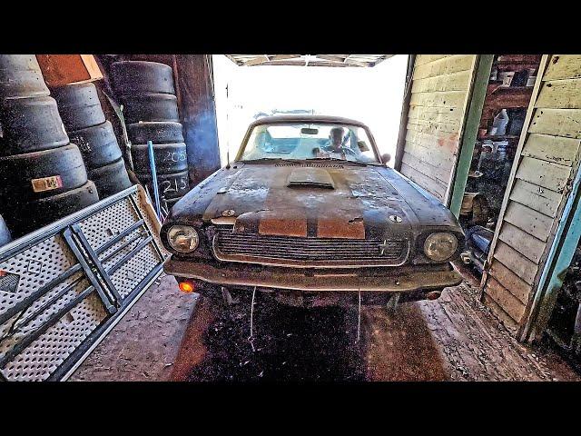 1966 Shelby Mustang Barn Find & Historic Factory Ford Race Car Uncovered