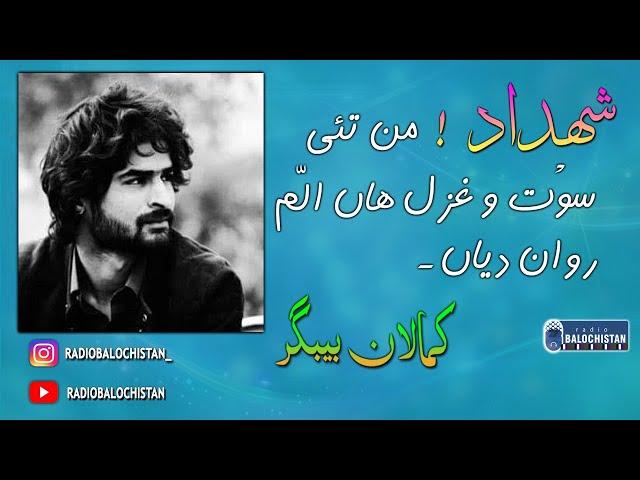 SHADAD! Man tai sout o ghazalan alam rawan deyan | Kamalan Bebagr